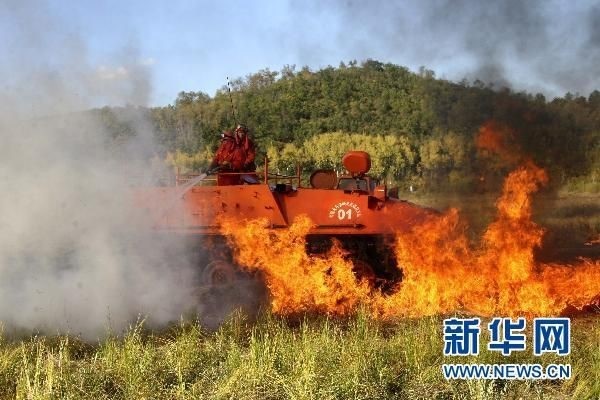 【動畫】森林草原防火“十不準”“五不燒”！這些安全知識要牢記